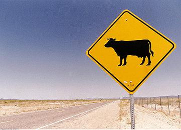 《动物森友会》更新2.0.5补丁 修复游戏本体与DLC相关问题